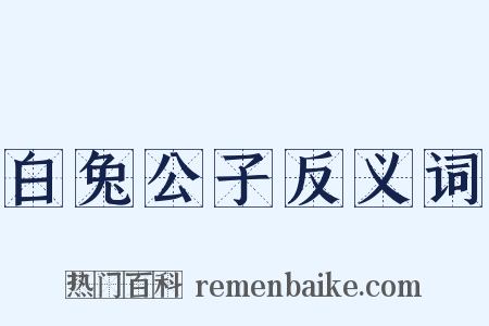 白兔公子反义词是什么意思的图片